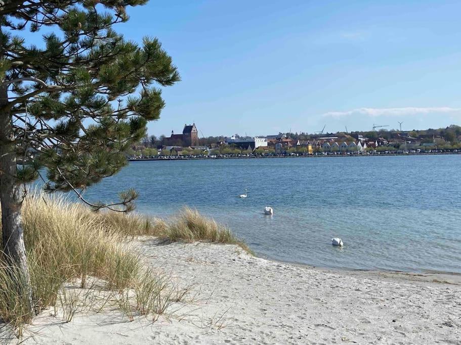 Seaview, Beach, Sunsets, Nature Heiligenhafen Eksteriør bilde